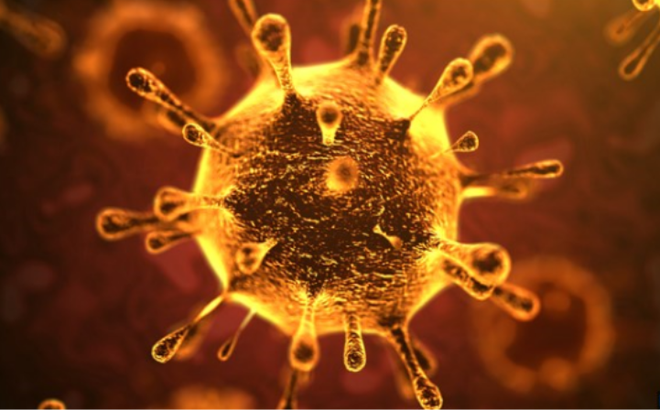WHO ban bố tình trạng khẩn cấp toàn cầu vì virus corona